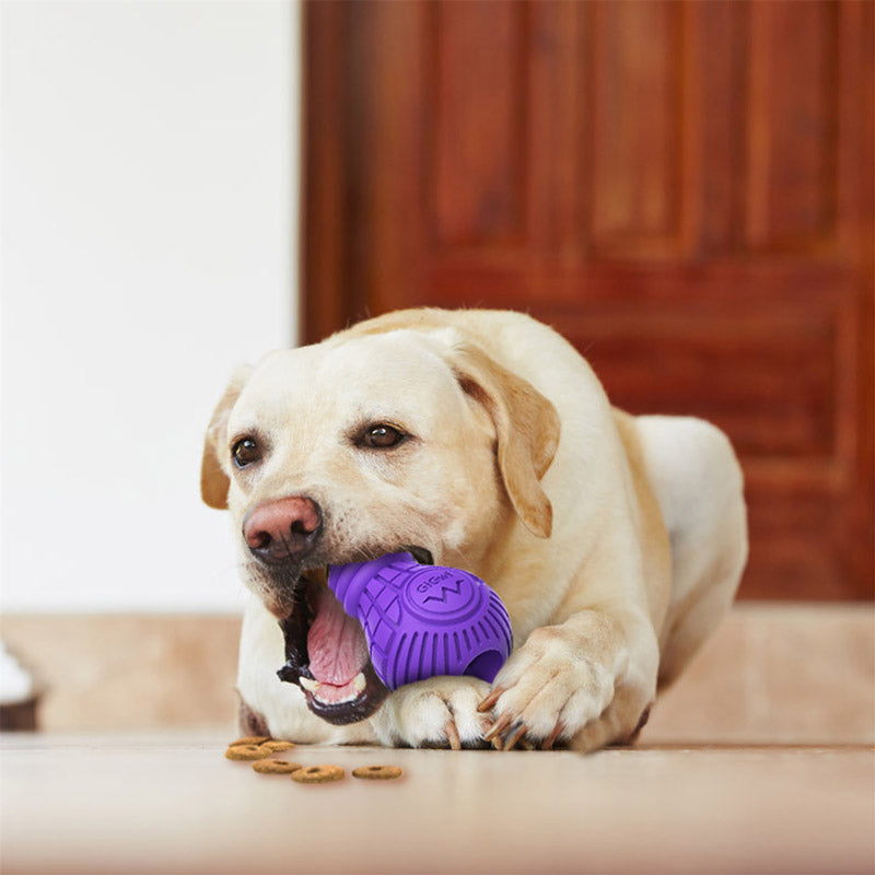 Bulb Treat Dispenser Rubber Dog Toy (Large) - Purple