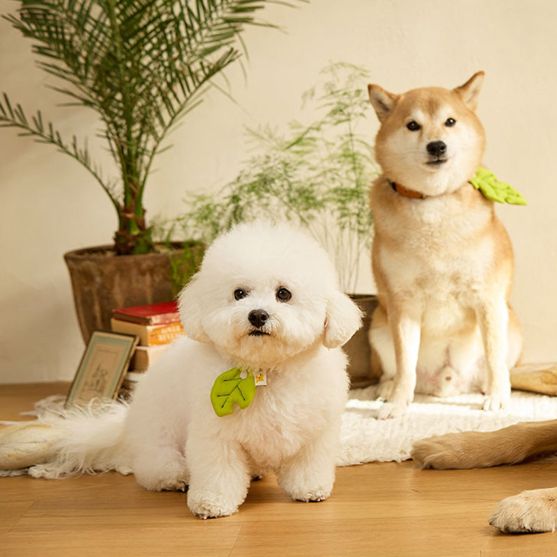 Baby Leaf Pet Collar Clip