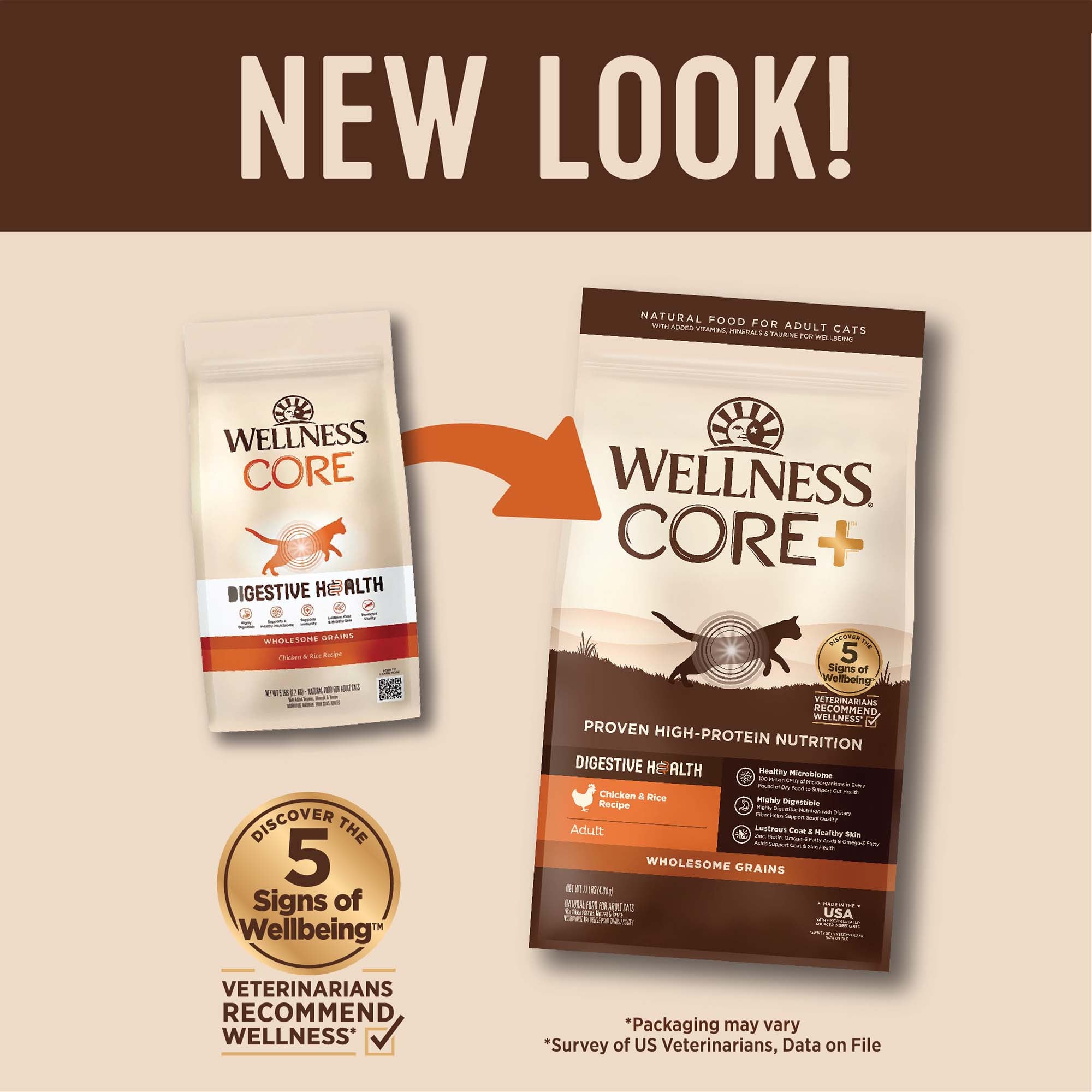 CORE® Digestive Health with Wholesome Grains Dry Cat Food | Chicken