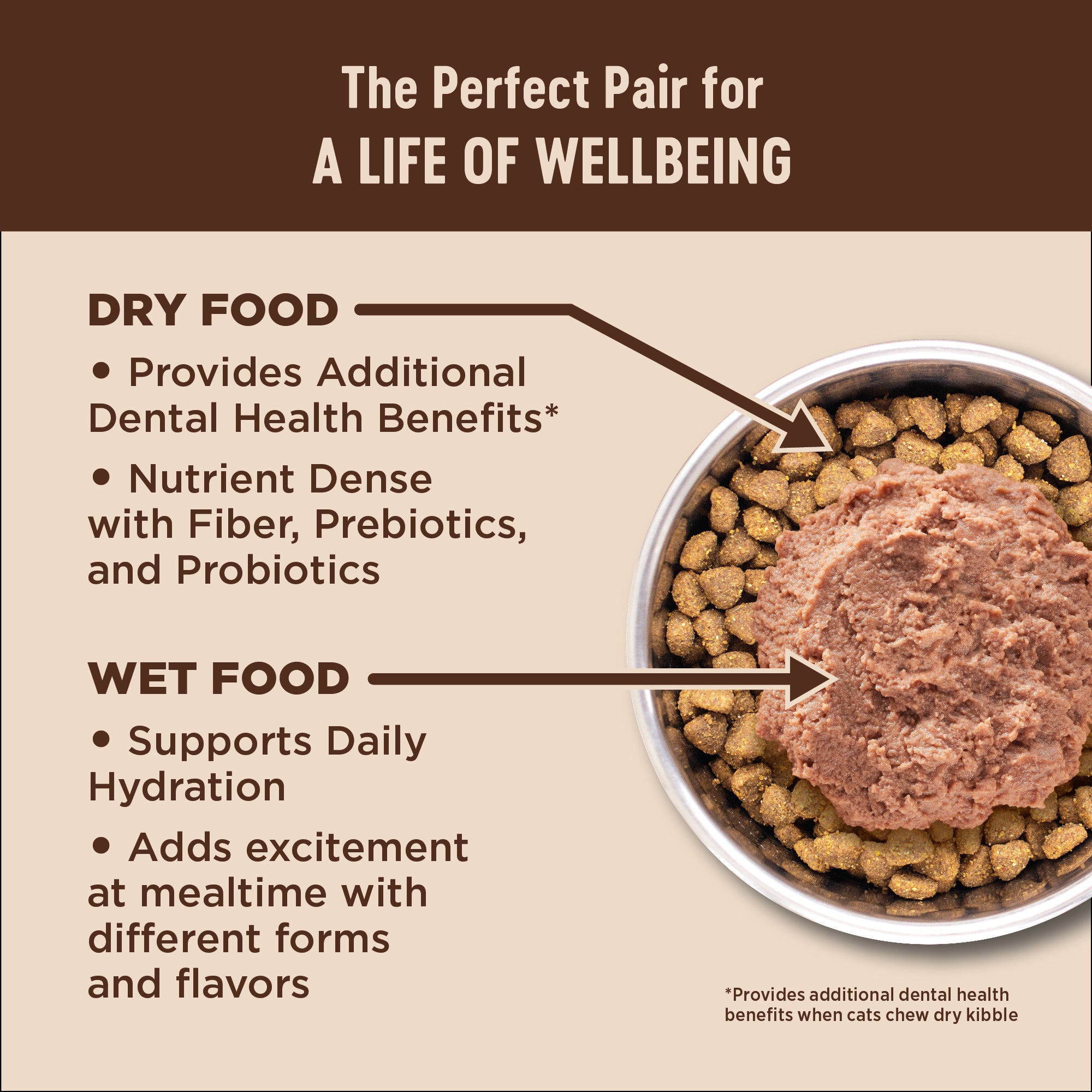 CORE® Digestive Health with Wholesome Grains Dry Cat Food | Chicken