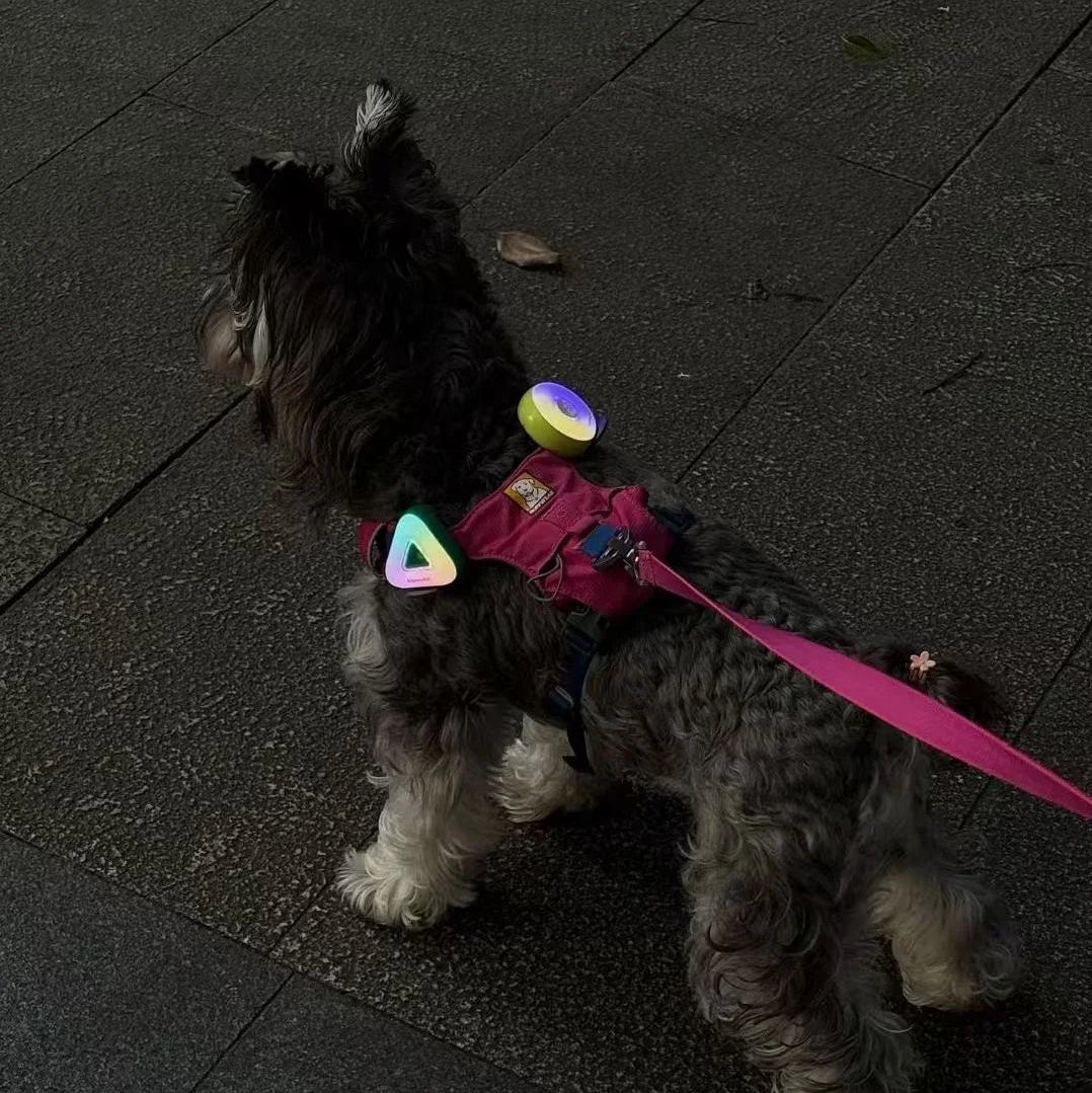 LED Pet Safety Walking Light