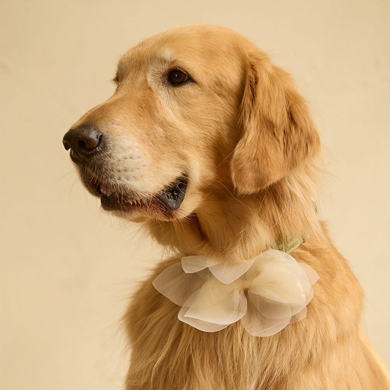 Wedding Leaf Pet Collar Clip