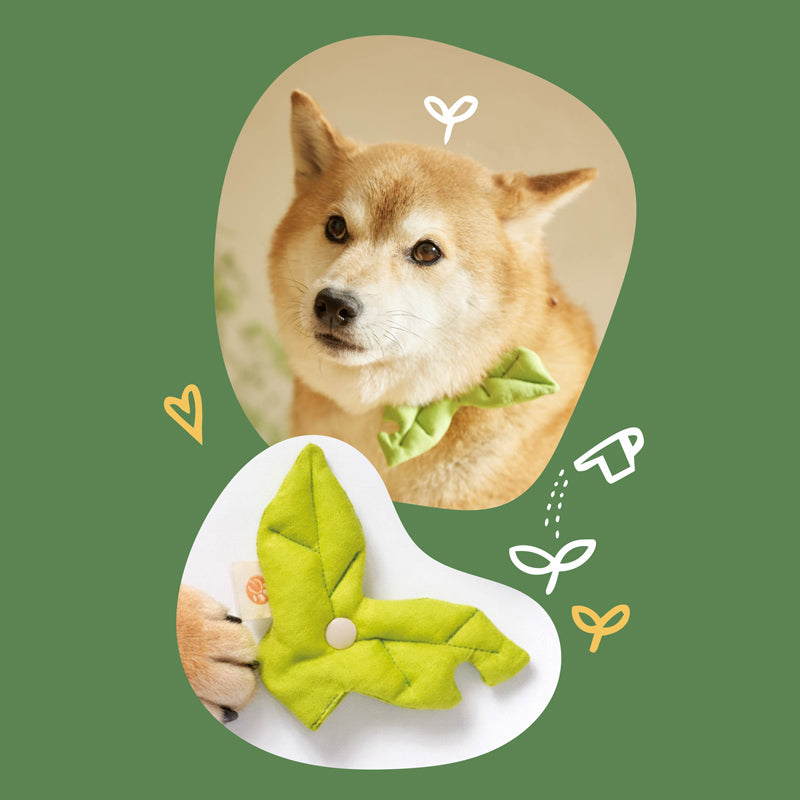 Hikoinu Sprout Leaf Pet Collar Clip - CreatureLand