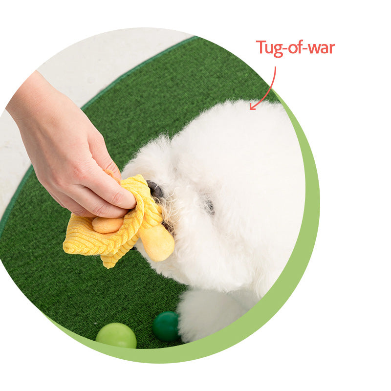 Crinkle Pocket Cape Nosework Dog Toy (3 Designs)