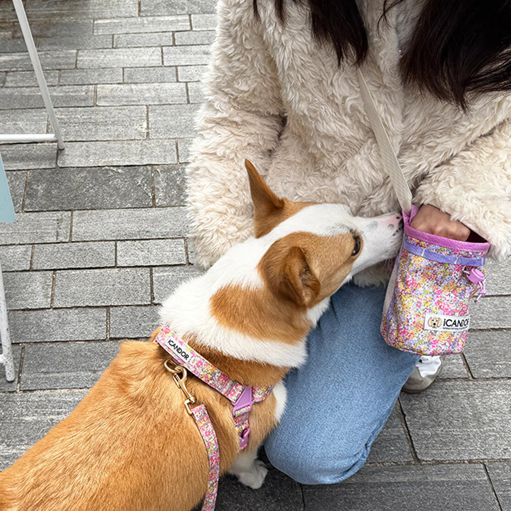 [ PREORDER ] Munchie Minder Dog Treat Bag | Flora