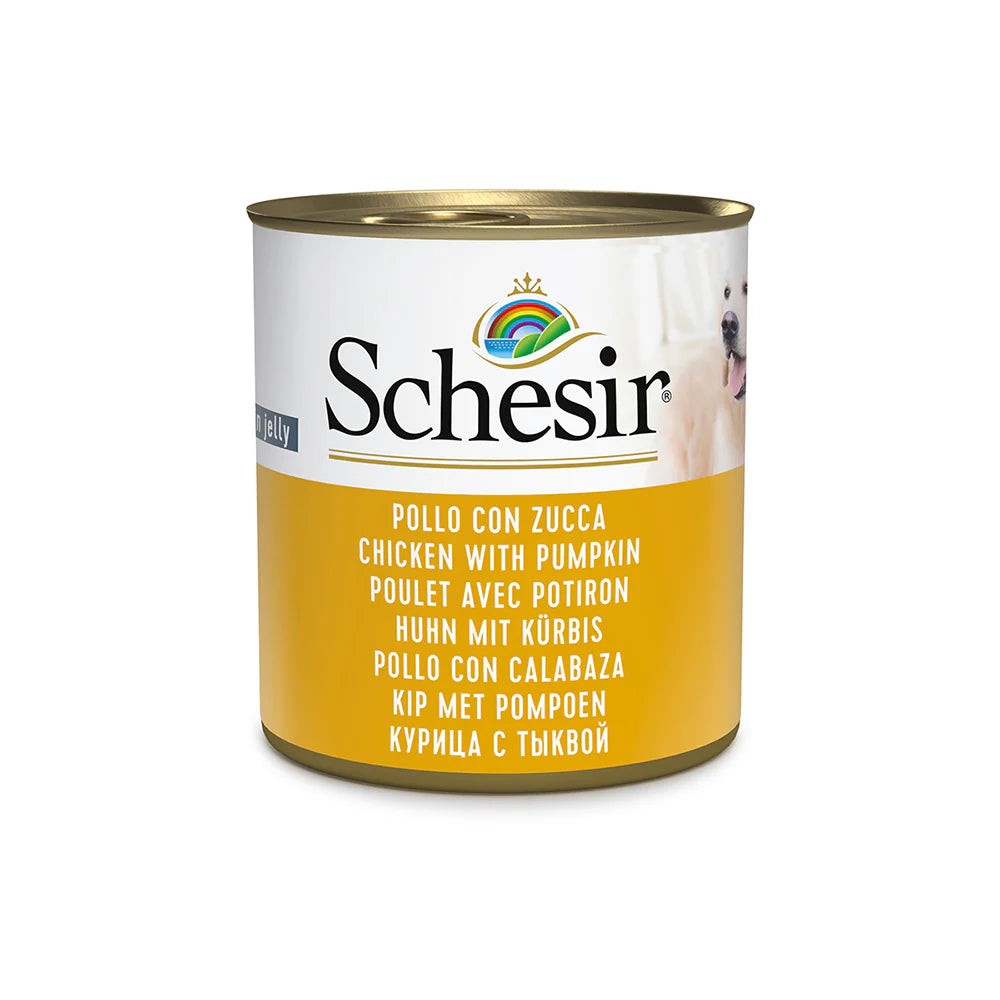 Schesir Chicken with Pumpkin Canned Dog Food (285g)