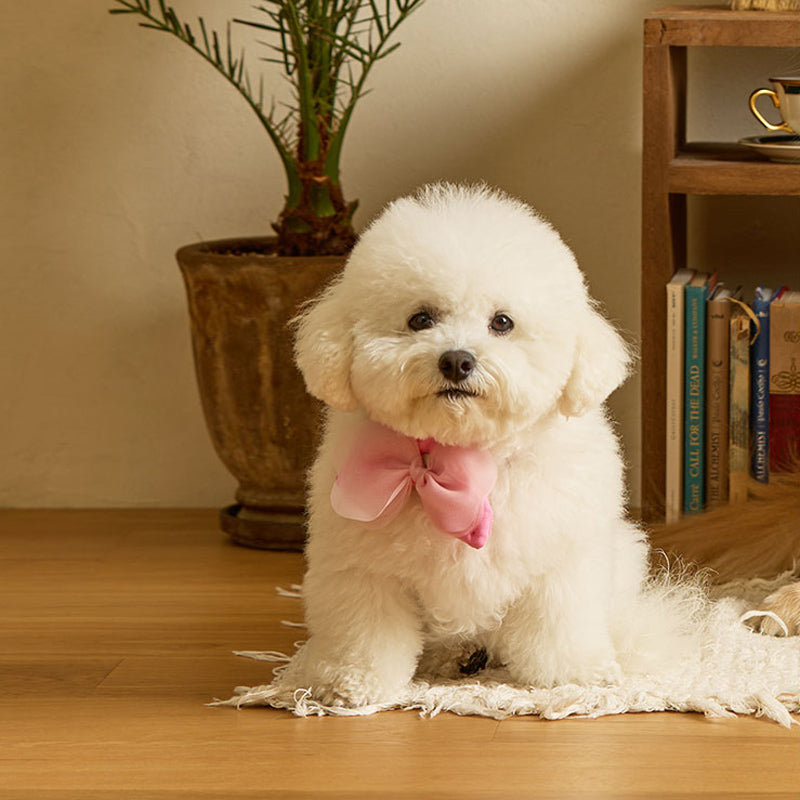 Butterfly Pet Collar Clip