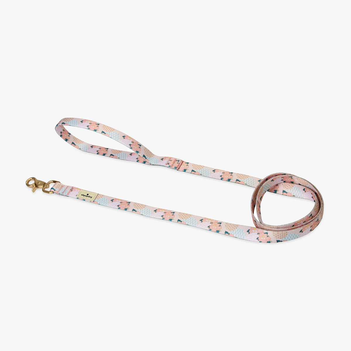 Botan Nylon Leash