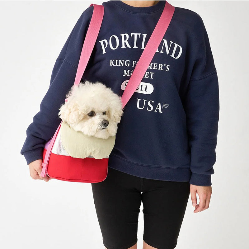 iCandor - Brisbane Pet Carrier in Eastwood Blue | CreatureLand.