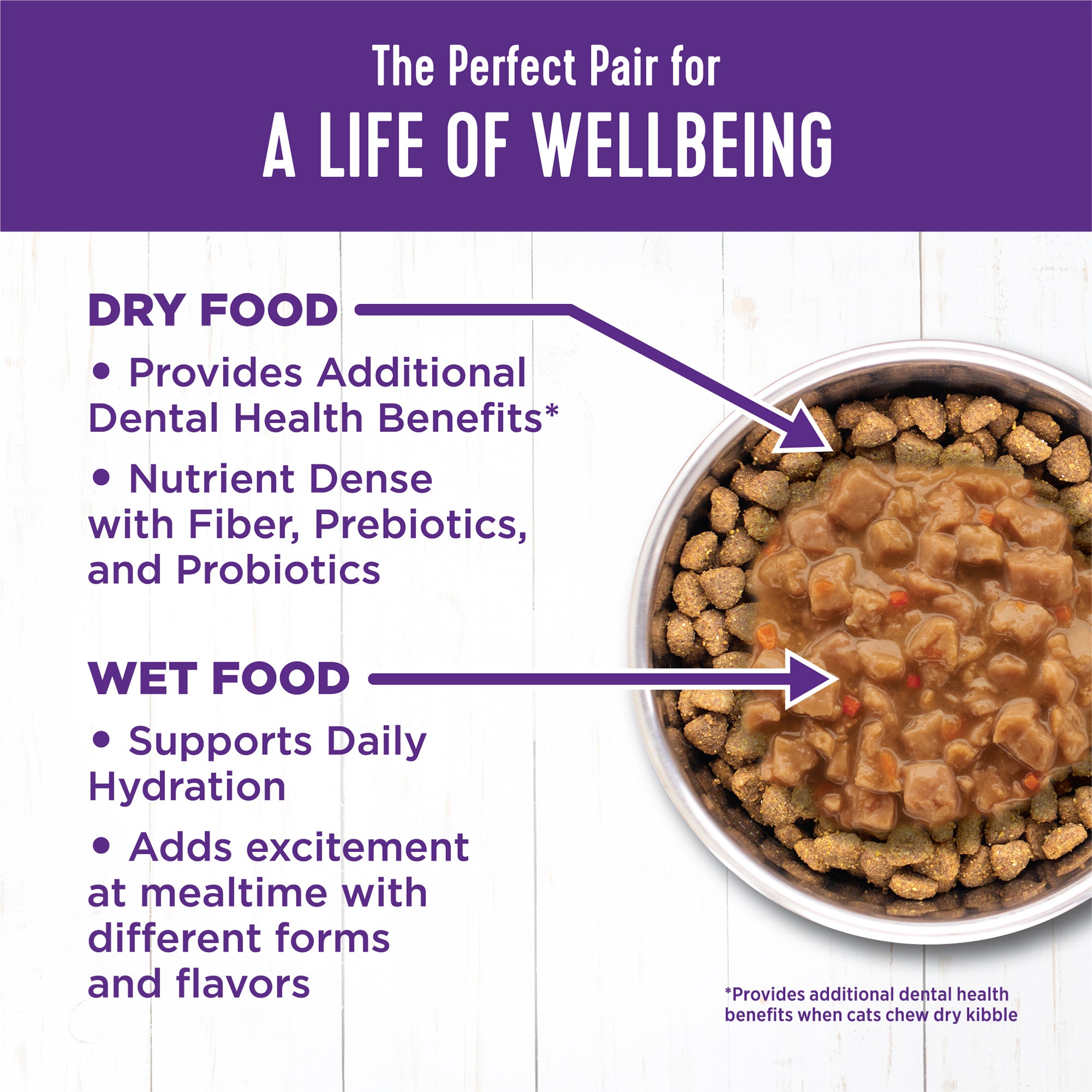 Complete Health™ Gravies Wet Cat Food | Salmon Entrée (3 oz)