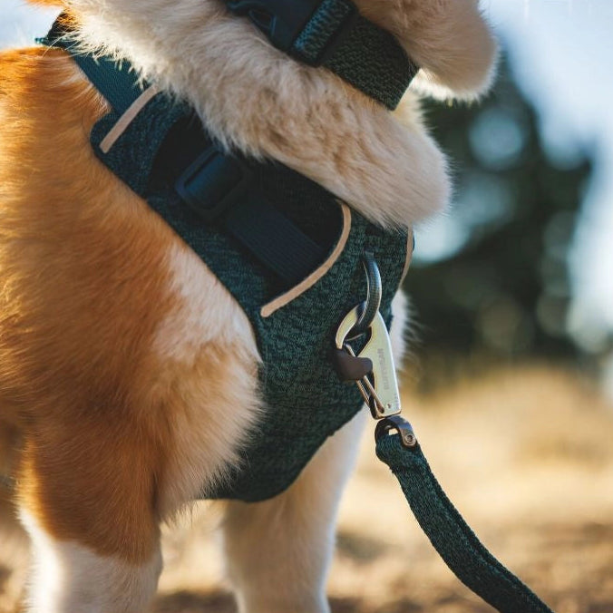 Front Range® Flex No-Pull Dog Knit Harness (4 Colours)