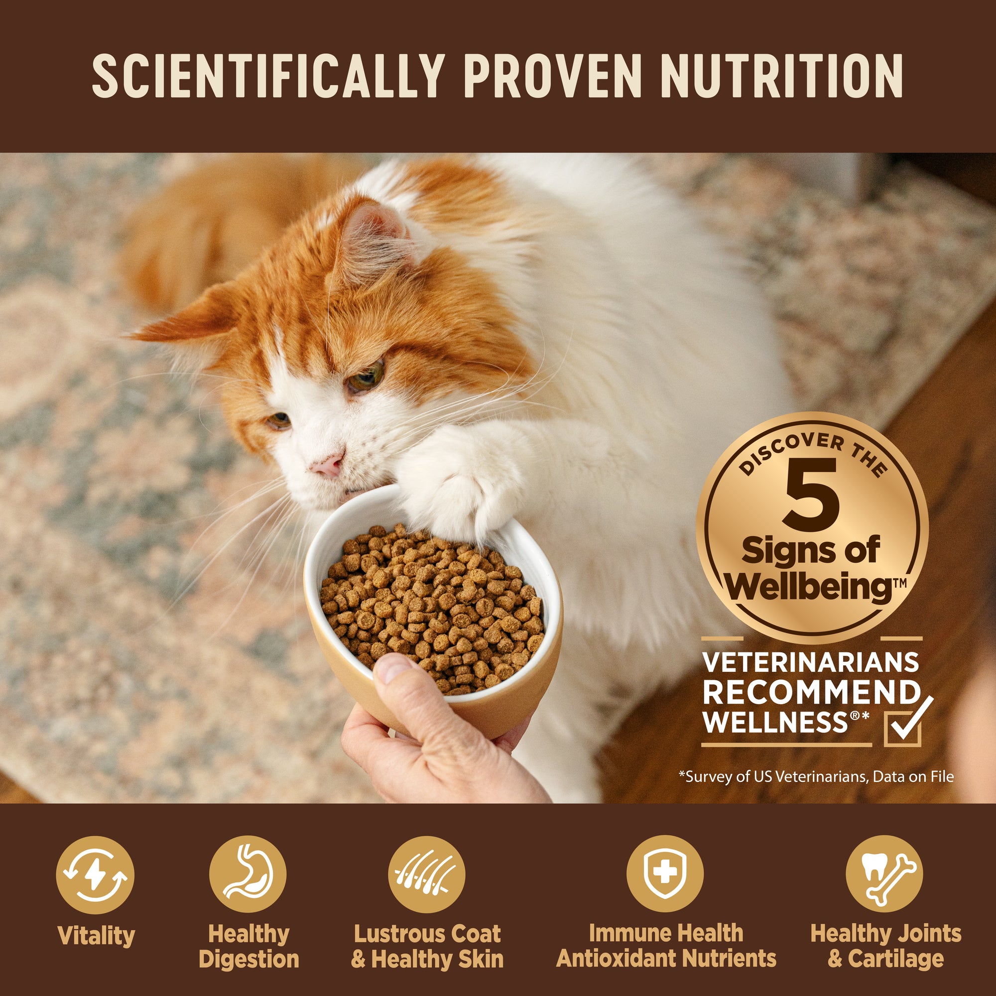 CORE® Original Deboned Turkey, Turkey Meal & Chicken Meal Grain-Free Adult Dry Cat Food