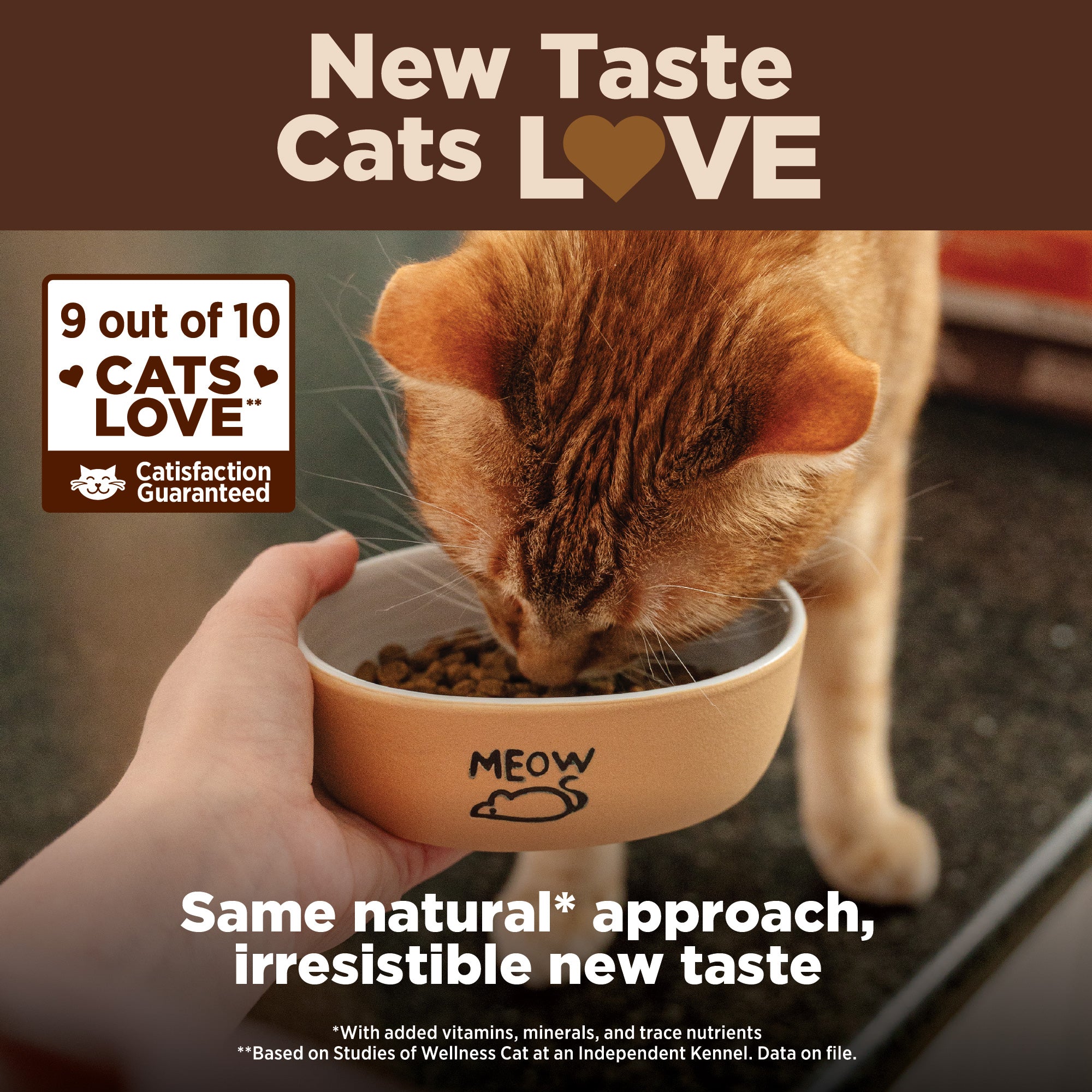 CORE® Original Deboned Turkey, Turkey Meal & Chicken Meal Grain-Free Adult Dry Cat Food