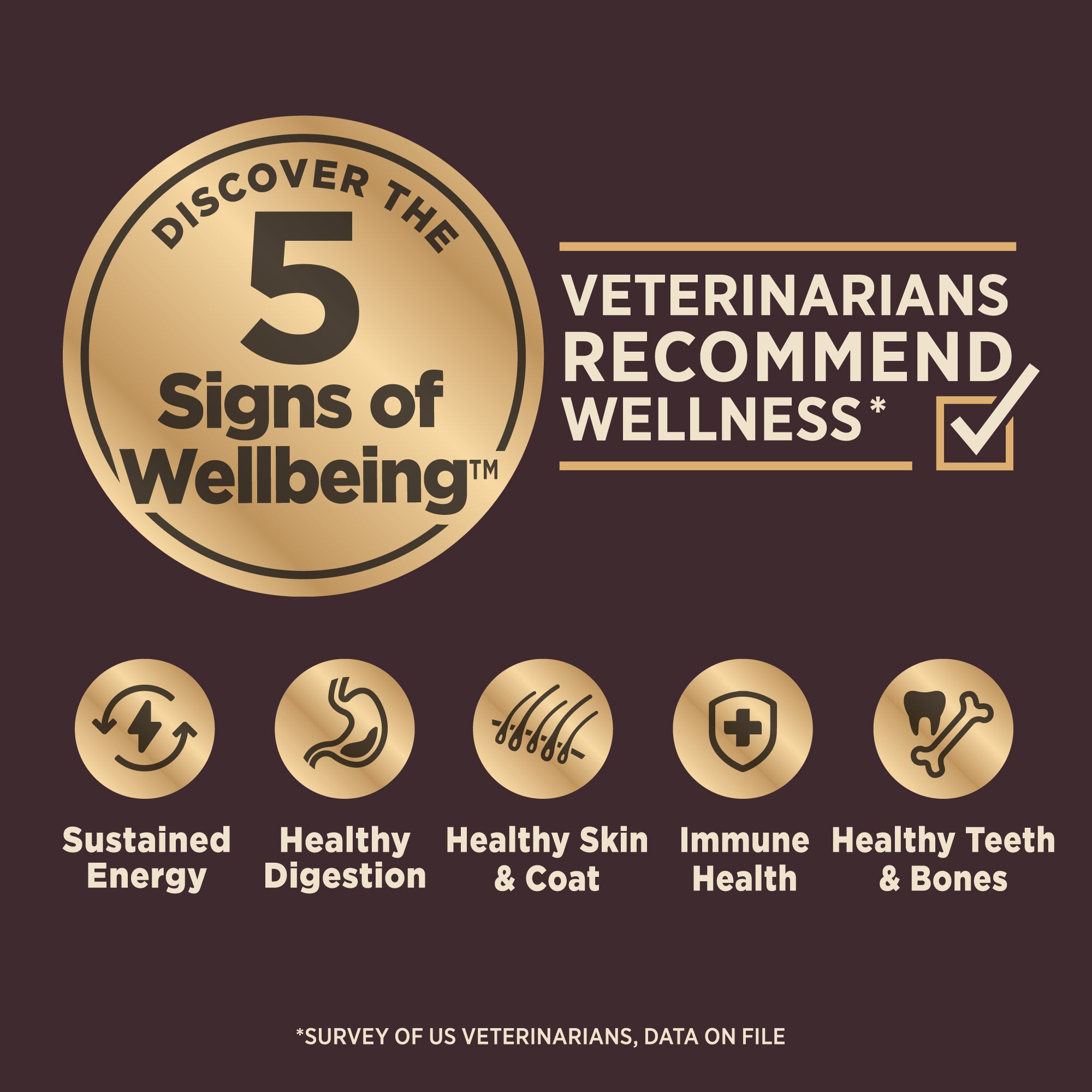 Wellness Core+ (formerly Rawrev) Original With Freeze Dried Turkey Grain Free Dry Dog Food