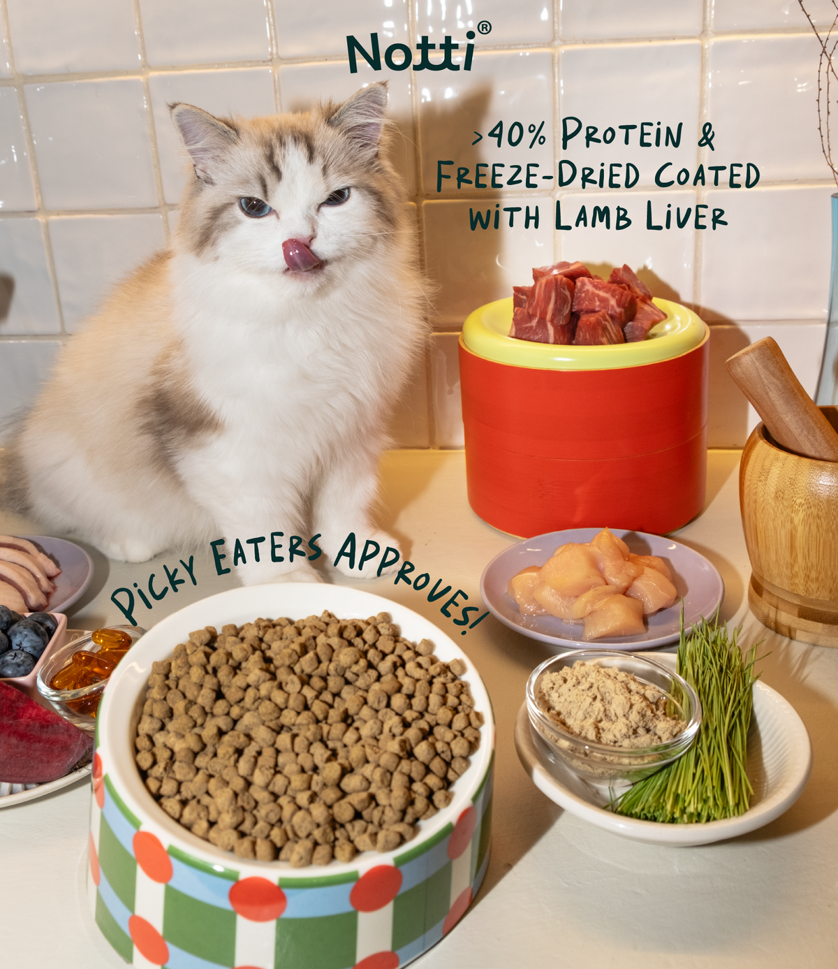 Notti Crunchy-Baked Digest Care Fresh Duck, Venison & Turkey Cat Dry Food