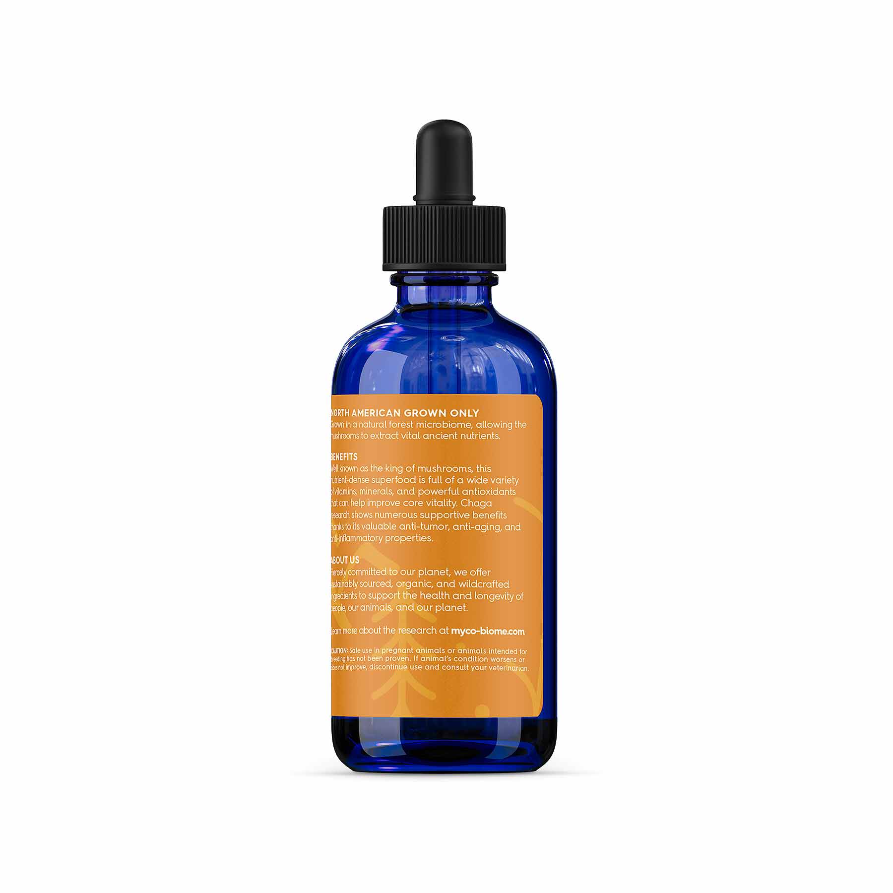 (MYCO-BIOME) Chaga Mushrooms | Liquid Triple Extract (125ml)