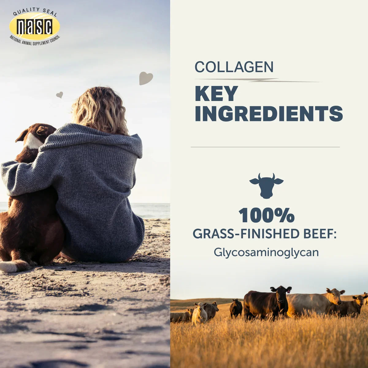 Collagen - Bone & Joint Support