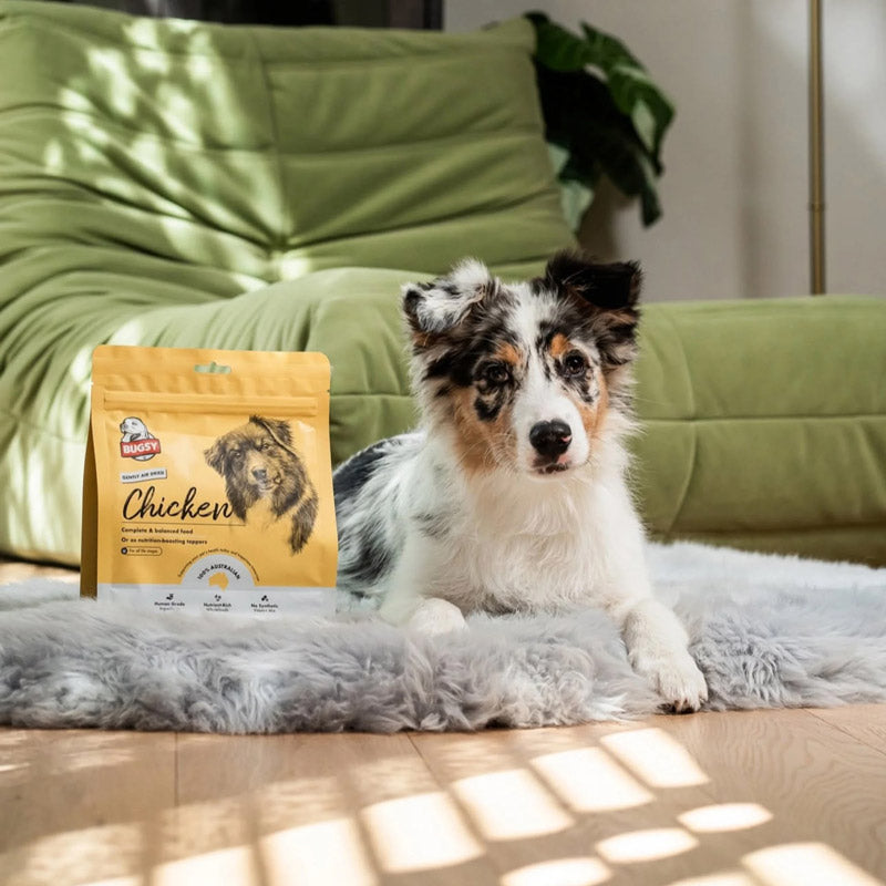 Bugsy's Chicken Air-Dried Dog Food (2 Sizes)