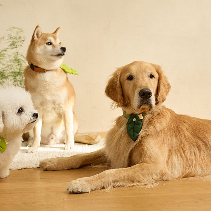 Basic Leaf Pet Collar Clip