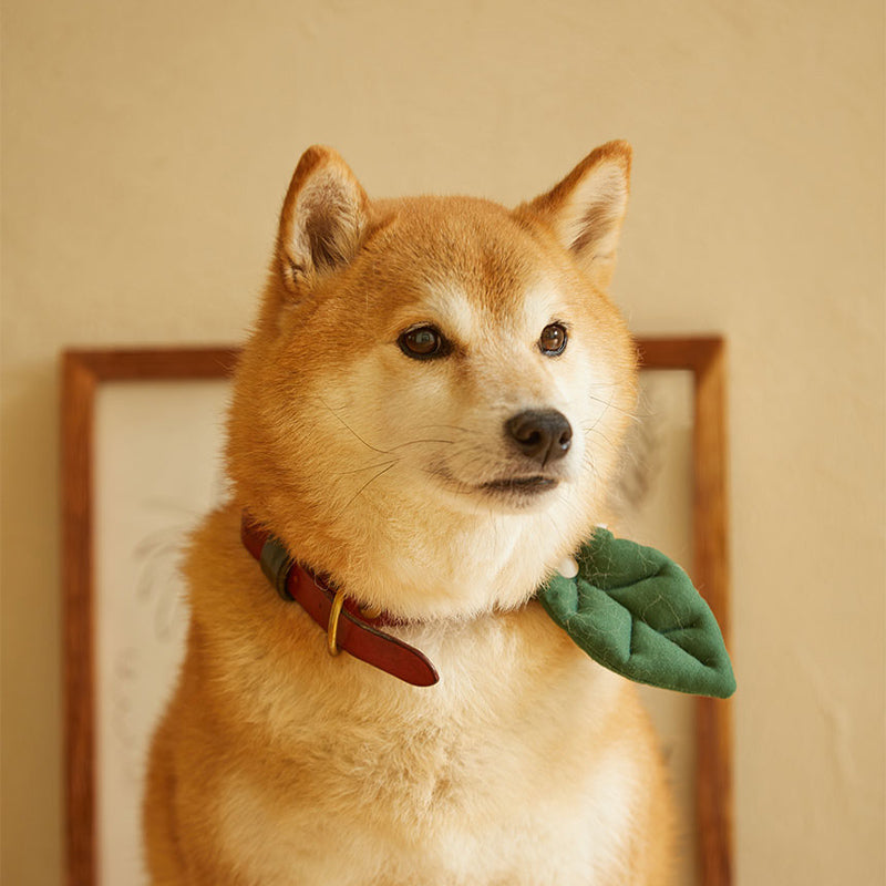 Basic Leaf Pet Collar Clip