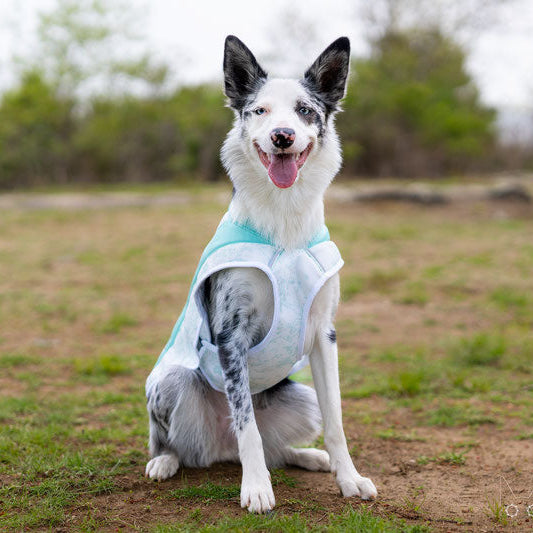 Swamp Cooler™ Reflective Cooling Dog Vest (2 Colours)