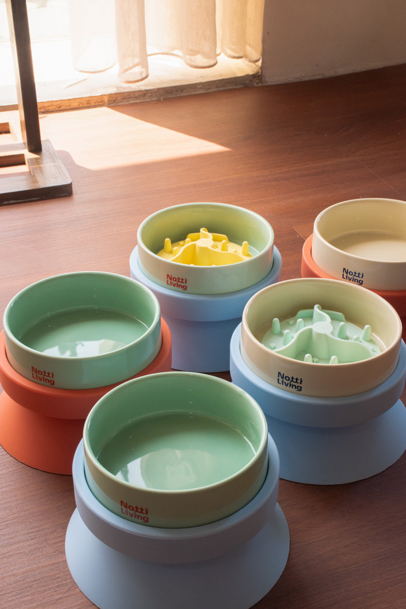 Notti Living 001 Ceramic Pet Food Bowl