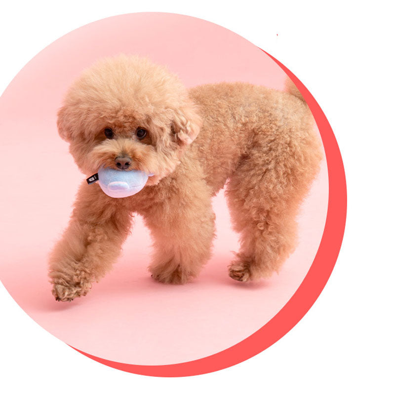 Fluffy Friends Multi-Pack Ball Toy (3 pcs)