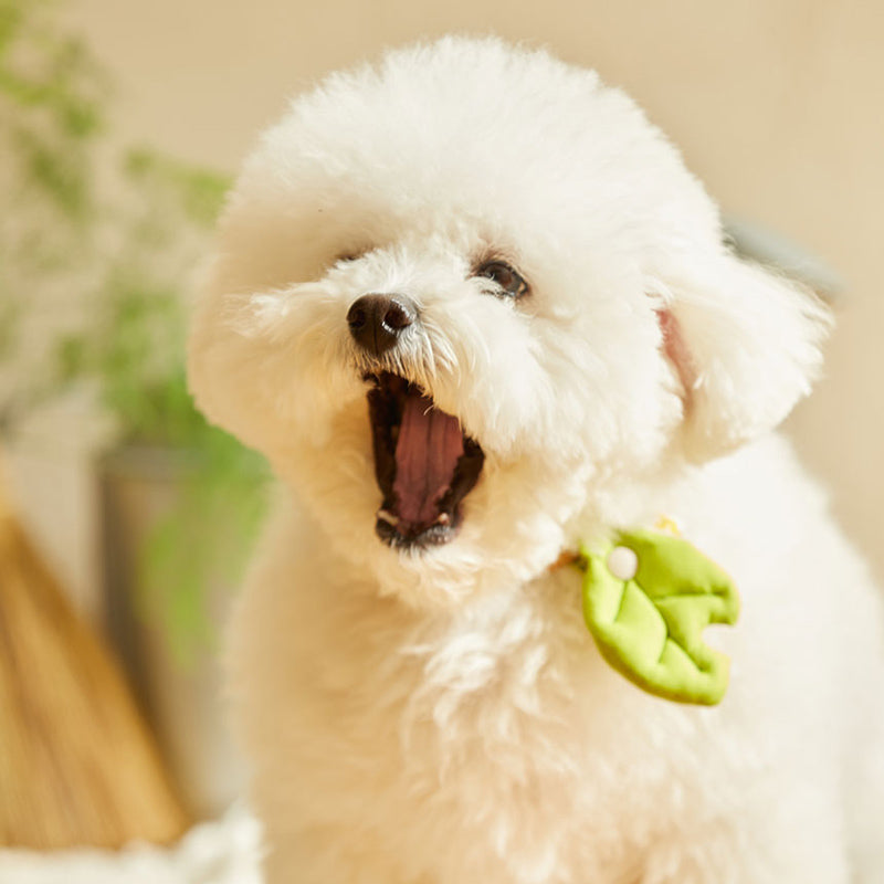 Baby Leaf Pet Collar Clip