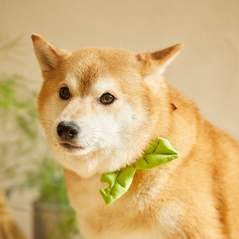 Hikoinu Sprout Leaf Pet Collar Clip - CreatureLand