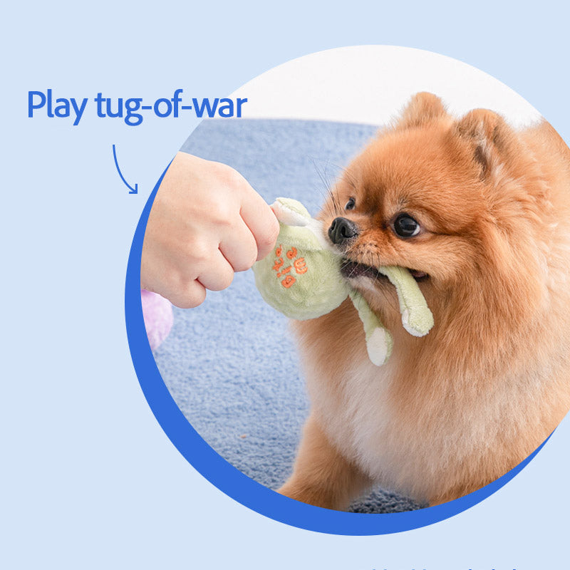 Long Hands Dog Ball Toy (Frog, Octopus)