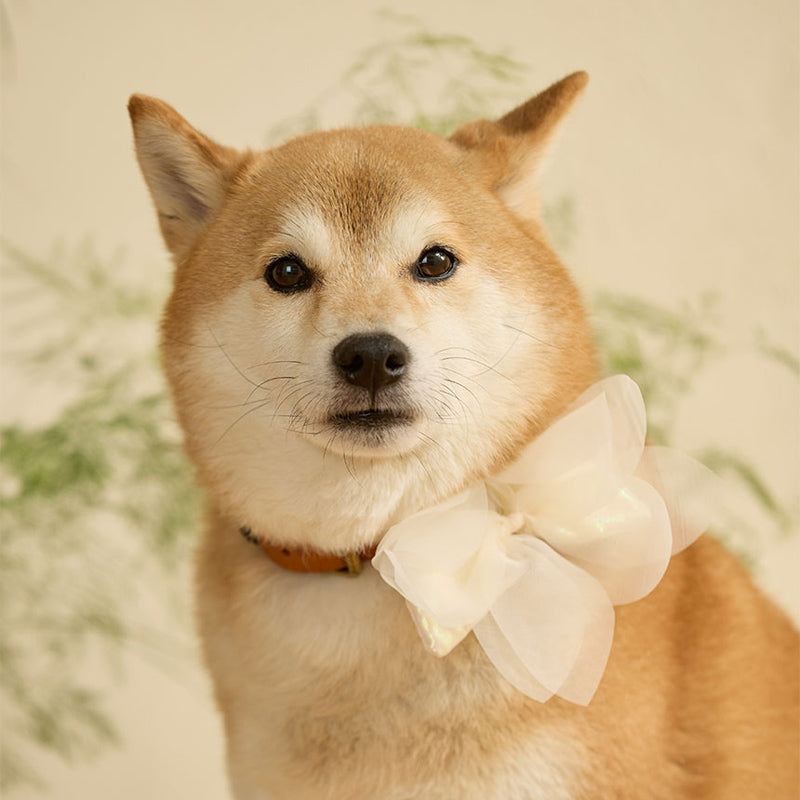 Wedding Leaf Pet Collar Clip