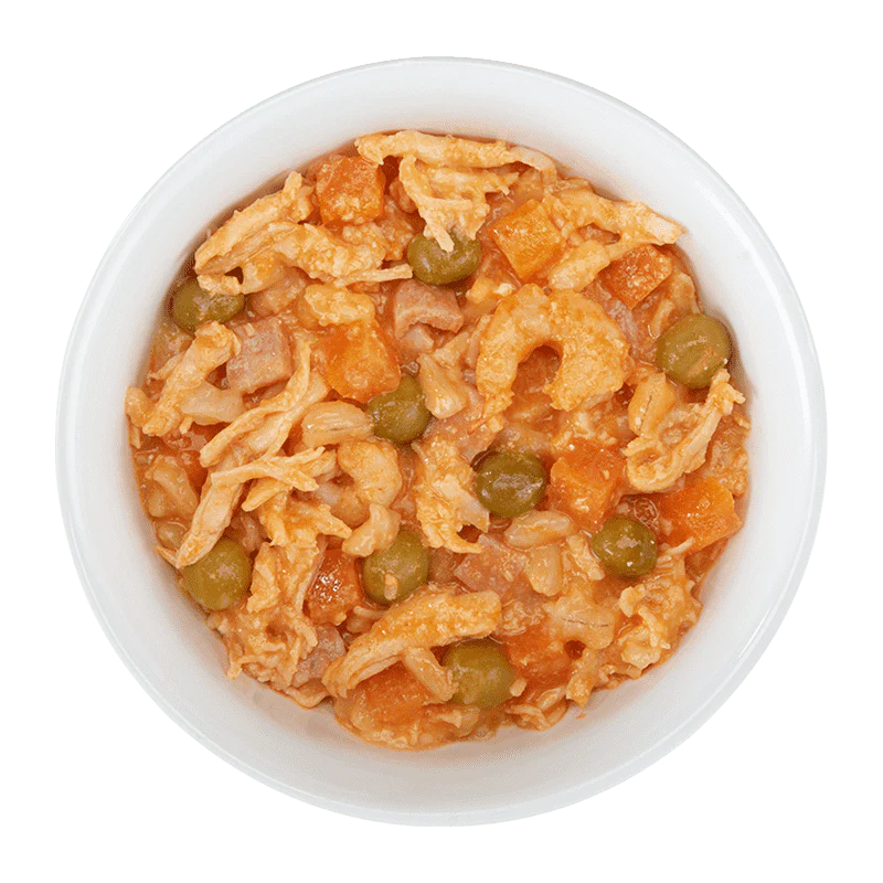 Schesir Taste The World Chicken With Paella Adult Canned Dog Food (150g)