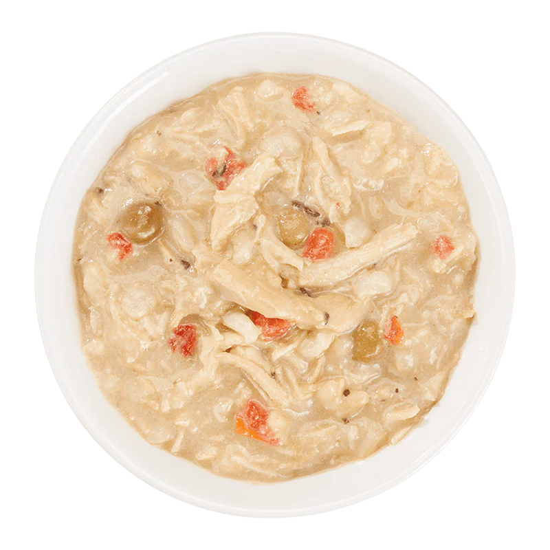 Schesir Taste The World Thai Coconut Chicken Adult Canned Dog Food (150g)