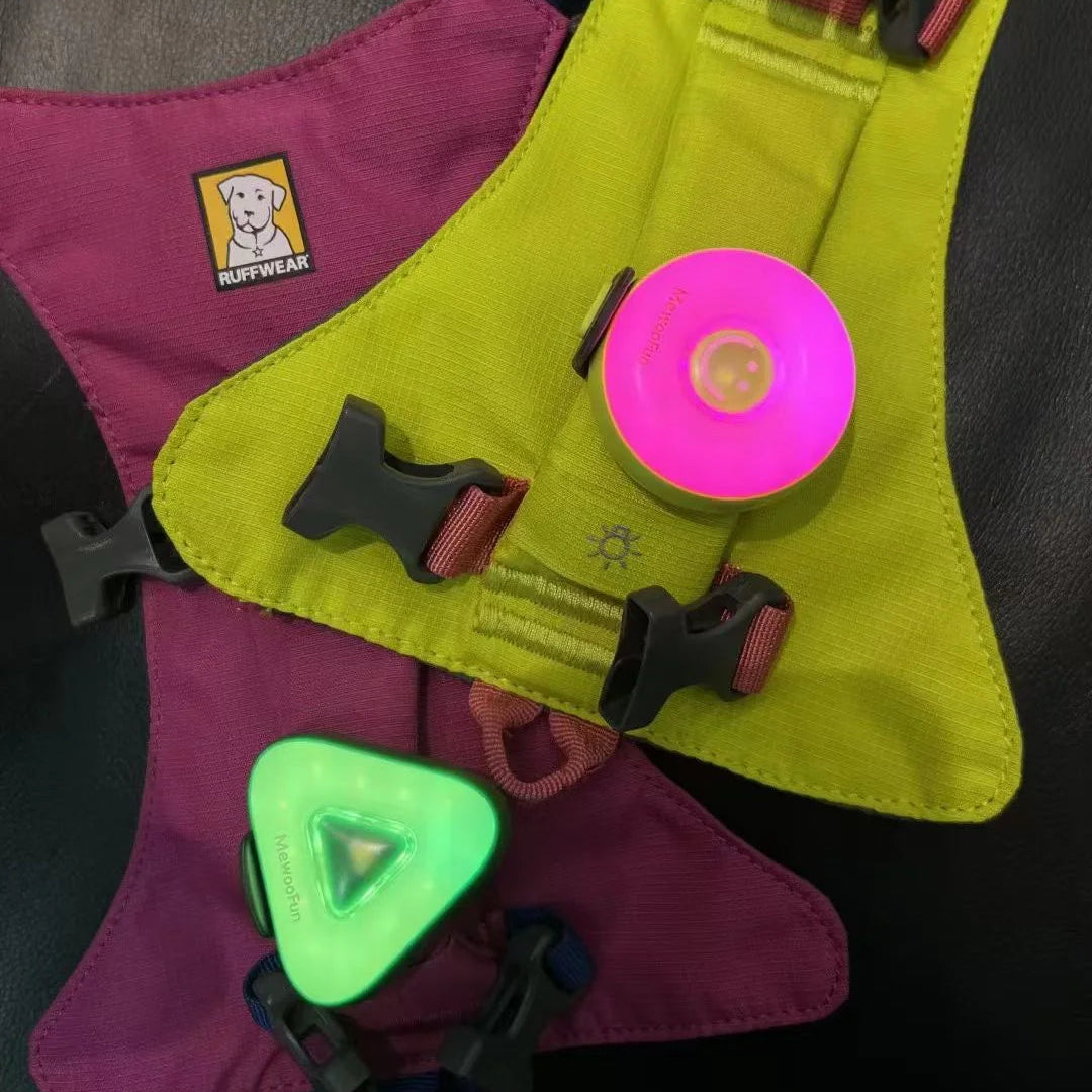 LED Pet Safety Walking Light