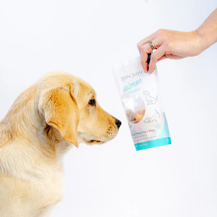 Salmon Trainers Freeze Dried Treats