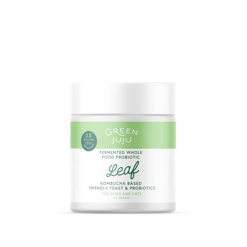 Leaf | Fermented, Kombucha-Based Probiotic