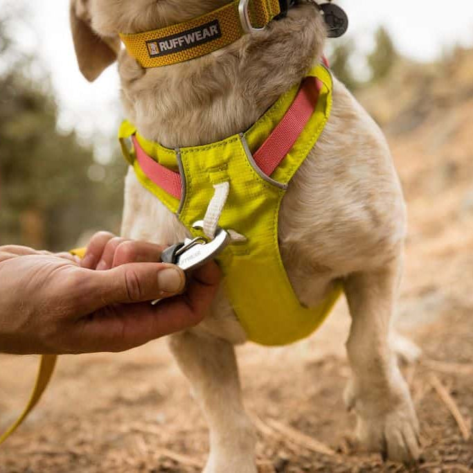 Hi & Light™ Lightweight Dog Harness (4 Colours)