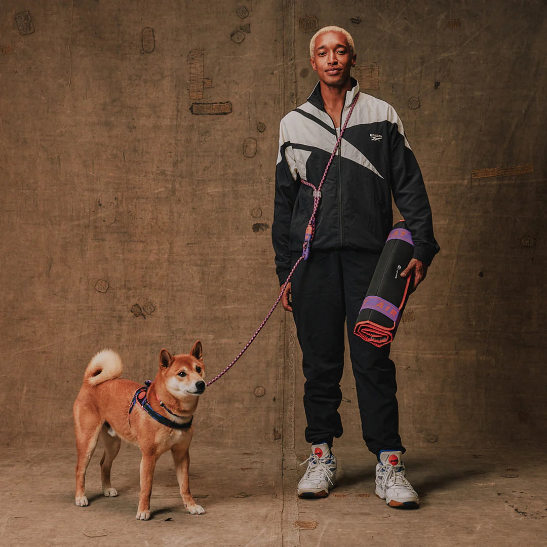 Reebok x Zee.Dog Court Handsfree Dog Leash