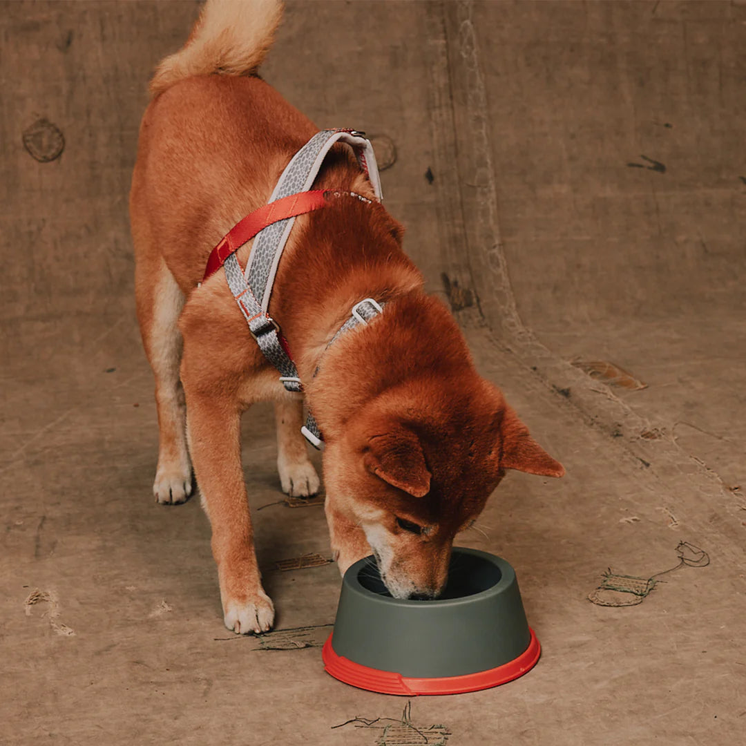 Reebok x Zee.Dog Suede Melamine Bowl (Small)