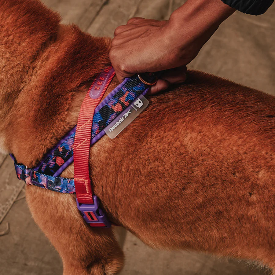 Reebok x Zee.Dog Court Softer Walk Dog Harness