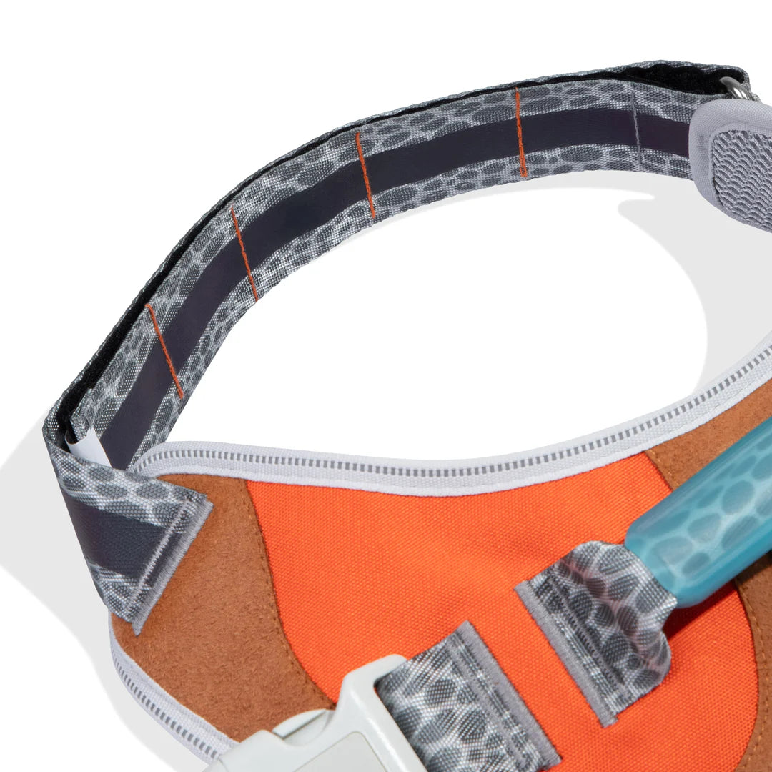 Reebok x Zee.Dog Suede Dog Fly Harness