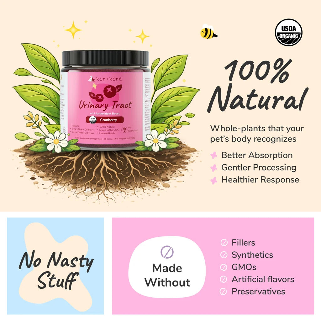 Organic Healthy Immunity & Urinary Tract Dog and Cat Supplement