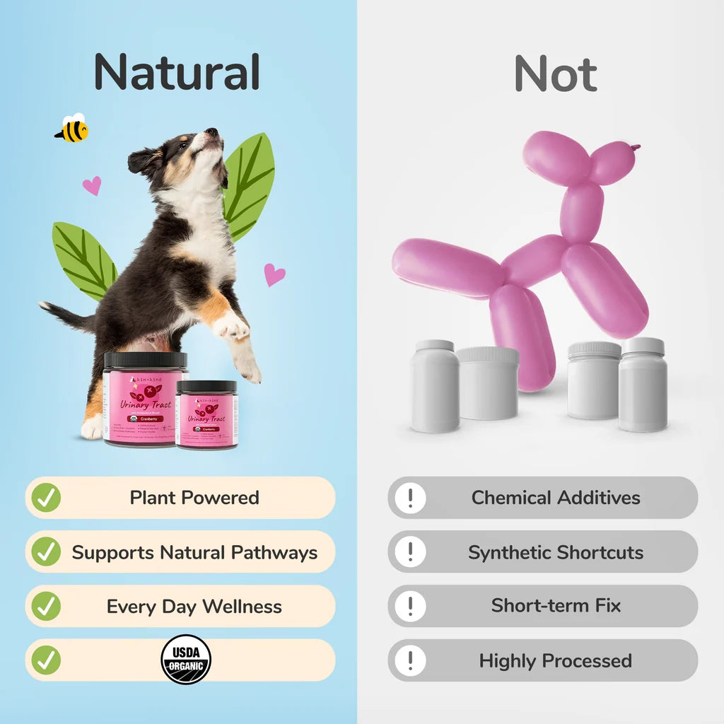 Organic Healthy Immunity & Urinary Tract Dog and Cat Supplement