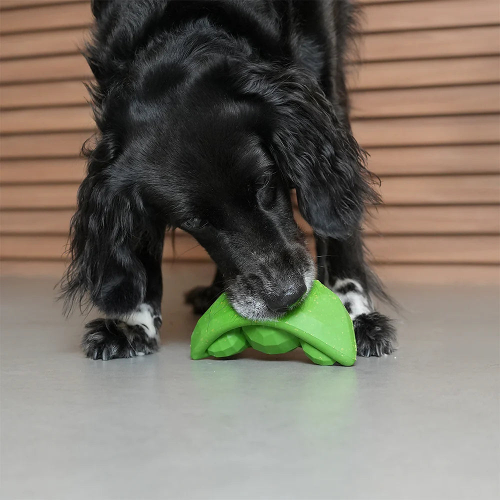 SuperVeggiez Green Bean Treat Dispenser Toy