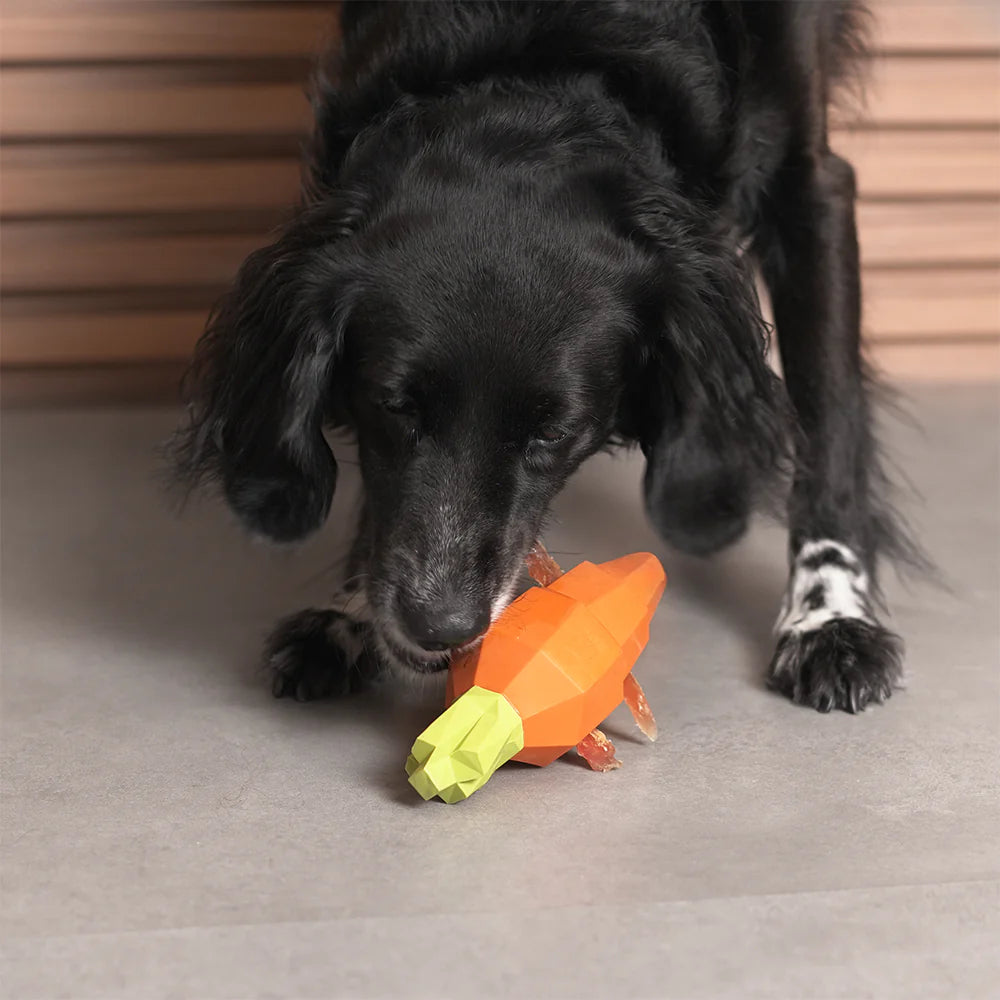 SuperVeggiez Carrot Treat Dispenser Toy