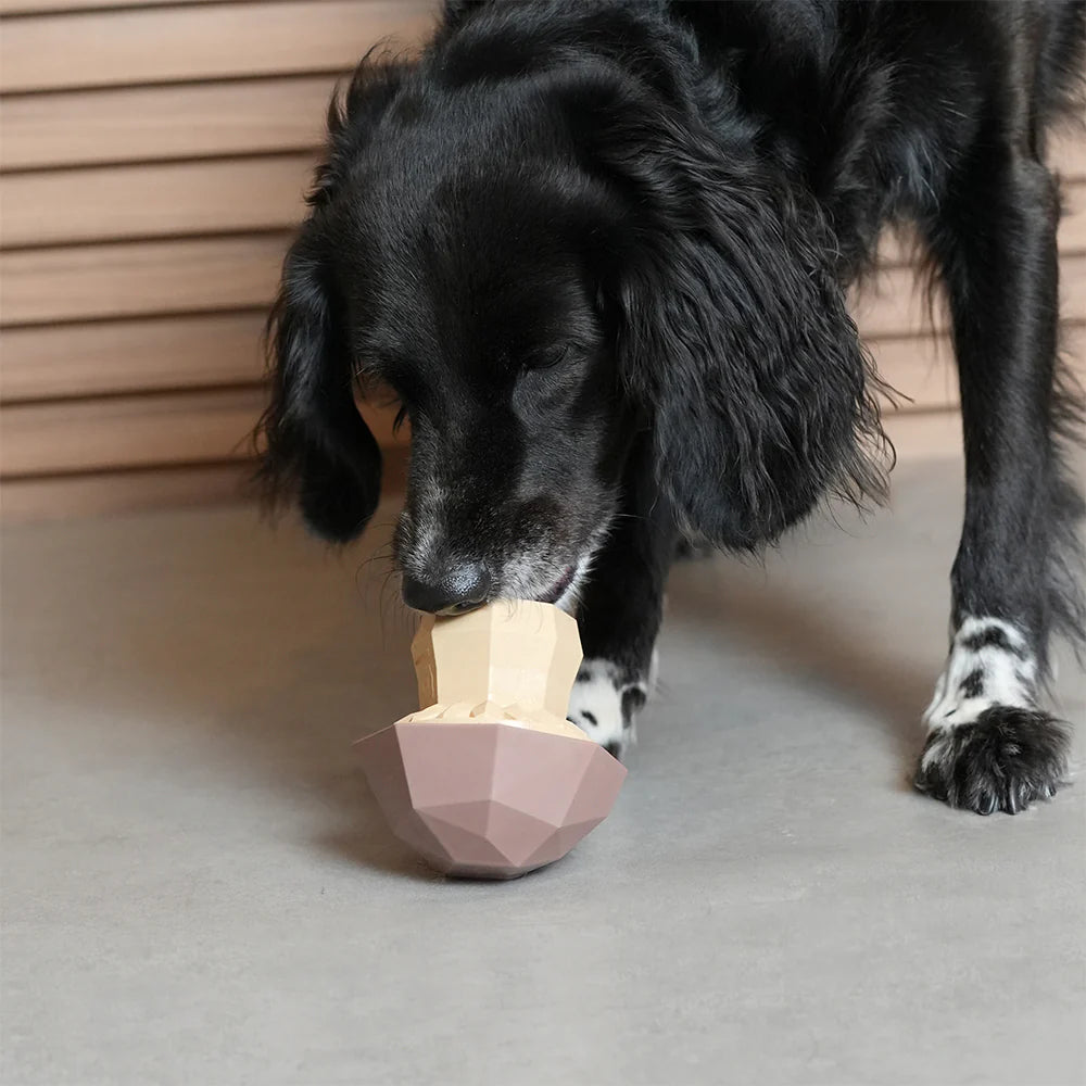 SuperVeggiez Mushroom Treat Dispenser Toy