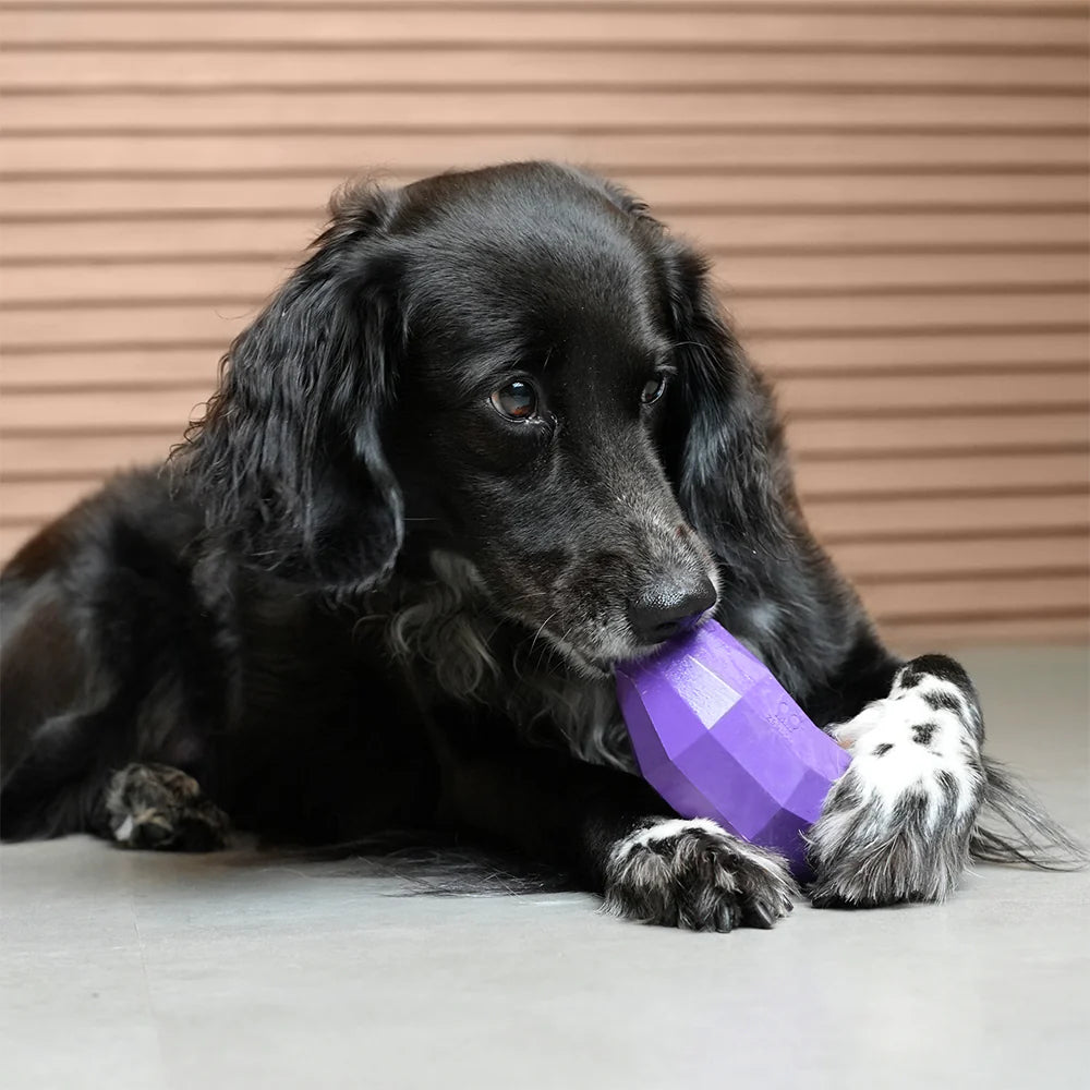 SuperVeggiez Eggplant Treat Dispenser Toy