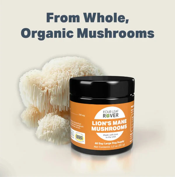 Four leaf rover lion’s mane mushroom dog supplement CreatureLand 