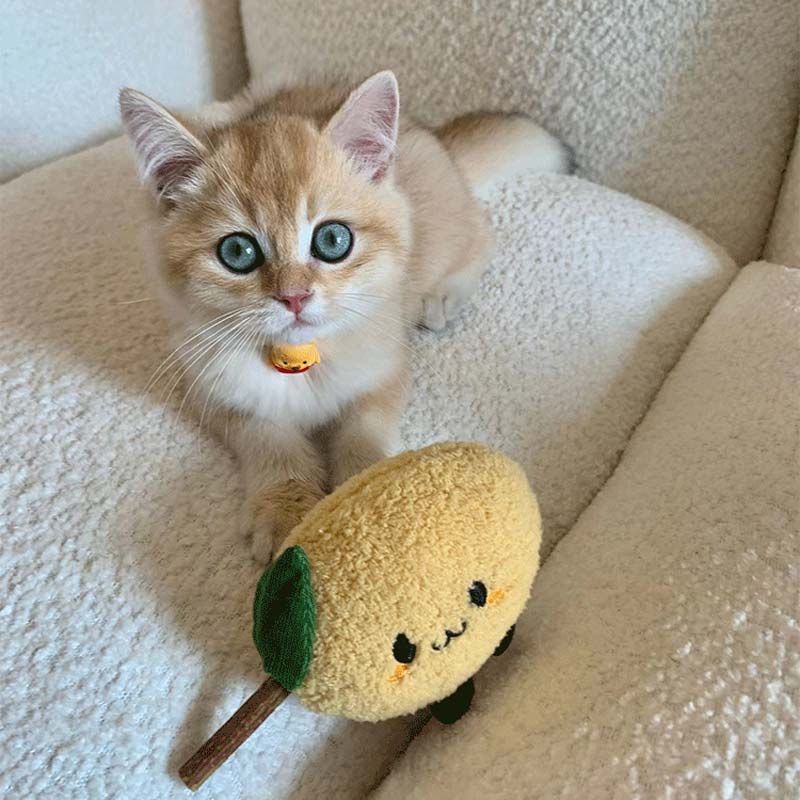 Fruit and Vegetable Matatabi Cat Toy (3 Designs)