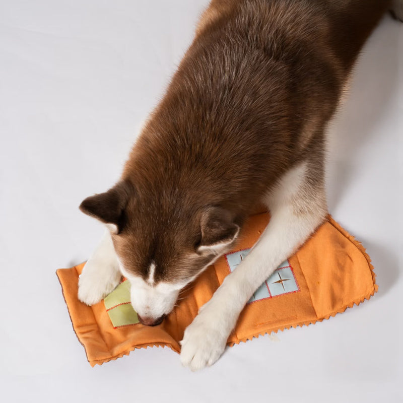 Bakery Bag Nosework Toy
